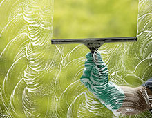 Cleanex Glass Cleaner