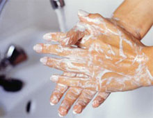 Cleanex Hand Wash Rose