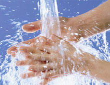 Cleanex Hand Wash Rose