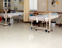 Cleanex Pine High Concentrate