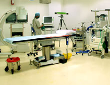 Cleanex Pine High Concentrate