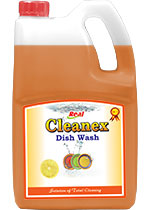 Dish Wash