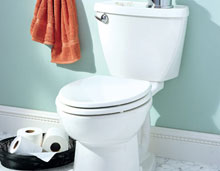 Cleanex Toilet Cleaner