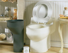 Cleanex Toilet Cleaner